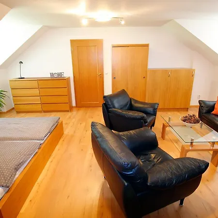 Vily Jedlici Villa *